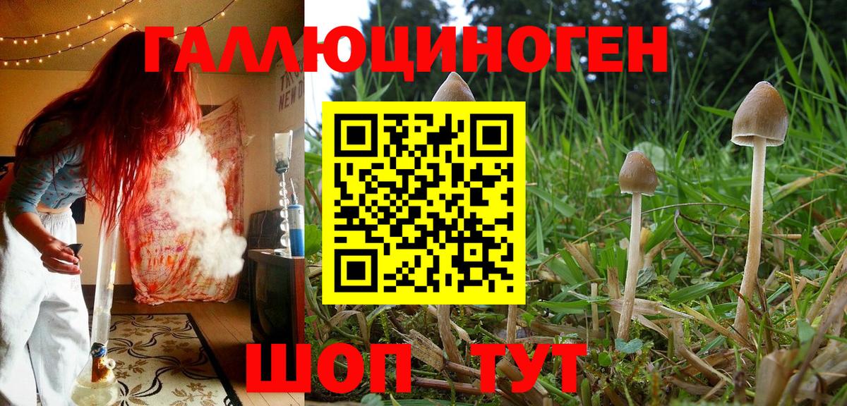 Псилоцибиновые грибы мицелий Гусев