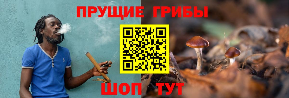 Псилоцибиновые грибы Psilocybine cubensis  Вход с VPN  цены наркотик  Галлюциногенные грибы мицелий  Гусев 